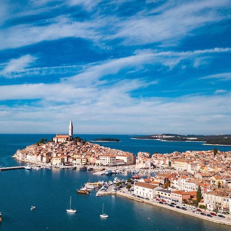 Apartment Pinezic - Roj117 By Interhome Rovinj Bagian luar foto